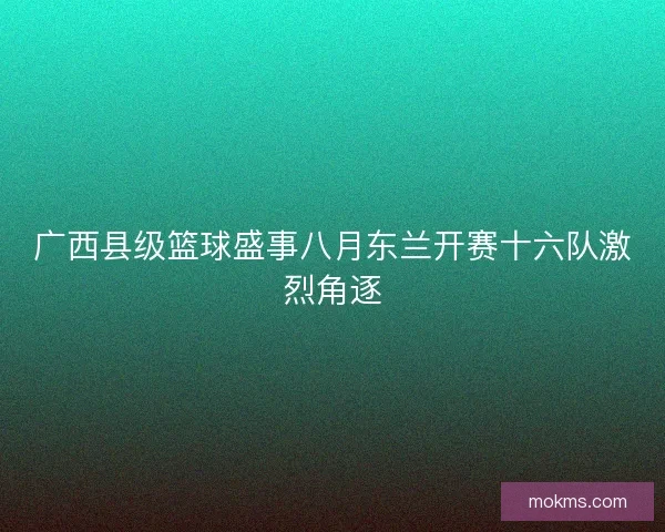 广西县级篮球盛事八月东兰开赛十六队激烈角逐