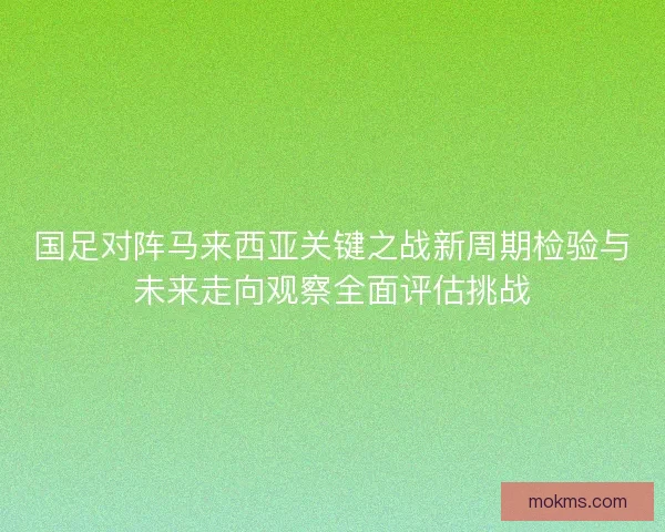 国足对阵马来西亚关键之战新周期检验与未来走向观察全面评估挑战